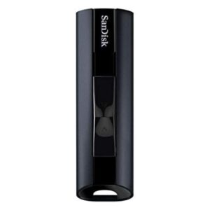 Sandisk USB Flash Drive
