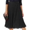 Pleated Skirt