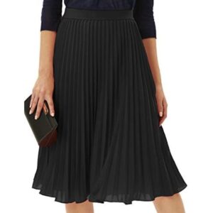 Pleated Skirt