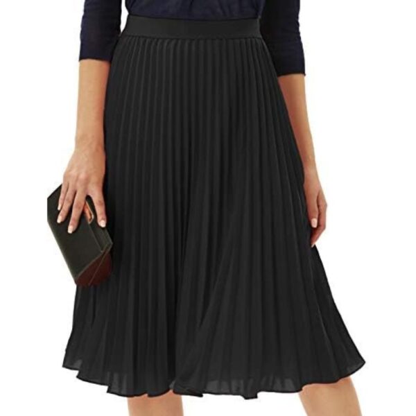 Pleated Skirt