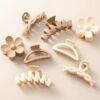 Hair Clips Set