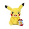 Pokemon Pikachu