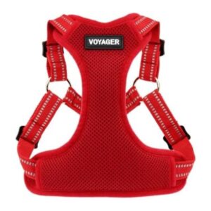 Adjustable Dog Harness