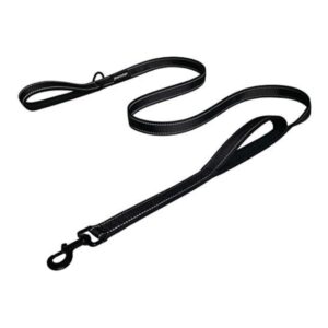 Dog Leash