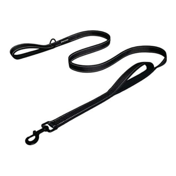 Dog Leash