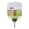 Rabbit Water Bottle