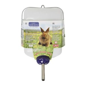 Rabbit Water Bottle