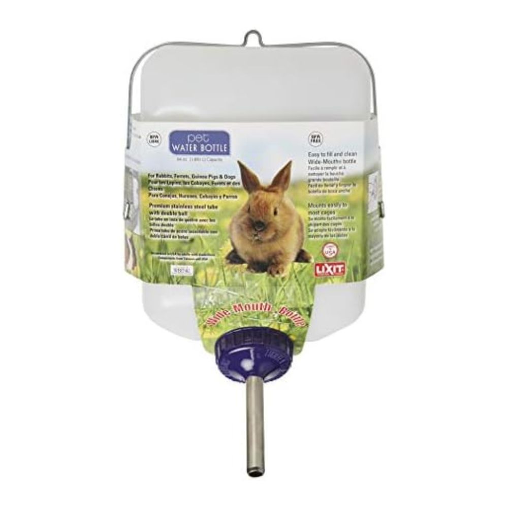Rabbit Water Bottle