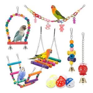 Parakeet Swing