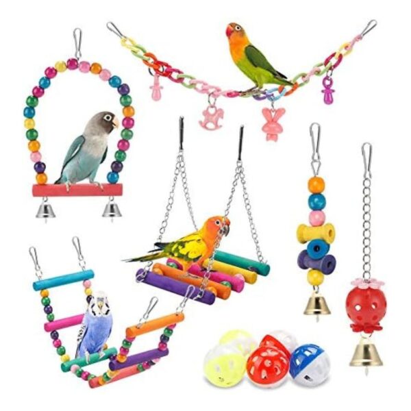 Parakeet Swing